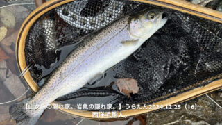 強風とナチュラルドリフトの組み合わせは、最強！ 