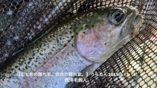 動画だと、毛鉤が見えない・・・（泣）。 