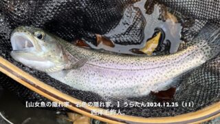 風が吹くと、14番では小さすぎるかな？ 