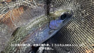 舟形ループでスラックを入れる。 