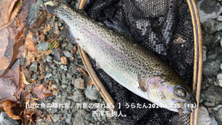 大量の流下物の中から僕の毛鉤に喰い付いたマスに感謝！ 
