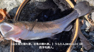 昨日は混雑してたかな？それでも対岸は高反応！ 