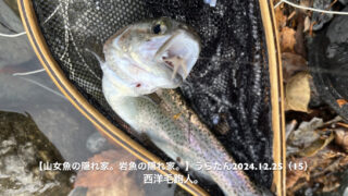 強風マシマシ。サカナの活性もマシマシ。 