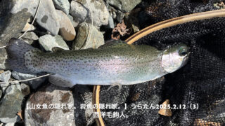 枯葉が漂う水面付近では、ニジマスが浮いている。 