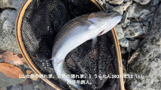 流下物が多い状況では、大きな毛鉤！ 