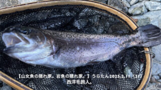 サカナの視力は、抜群！？ 
