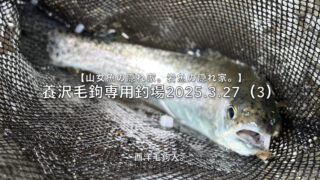 【フライフィッシング】本流を跨いで釣る！ 