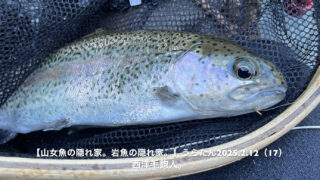 サカナが出たら、アワセを入れるだけ・・・。 