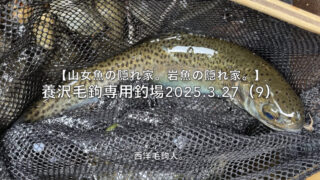 【フライフィッシング】あきらめた瞬間にサカナは出る！？ 