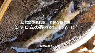 【フライフィッシング】春先の水面の釣りは大きな毛鉤に限る！ 