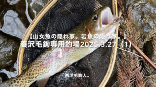 【フライフィッシング】放流？聞いてないよ～～！ 