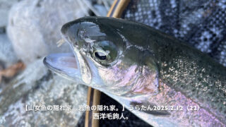 ミッジの釣りがいつまでできるかは、老眼鏡次第！？ 