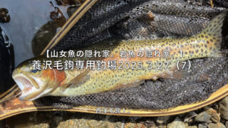 【フライフィッシング】年越しニジマスなのか？ 