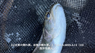ライズがあるけど・・・っと思う時こそ、油断大敵！ 