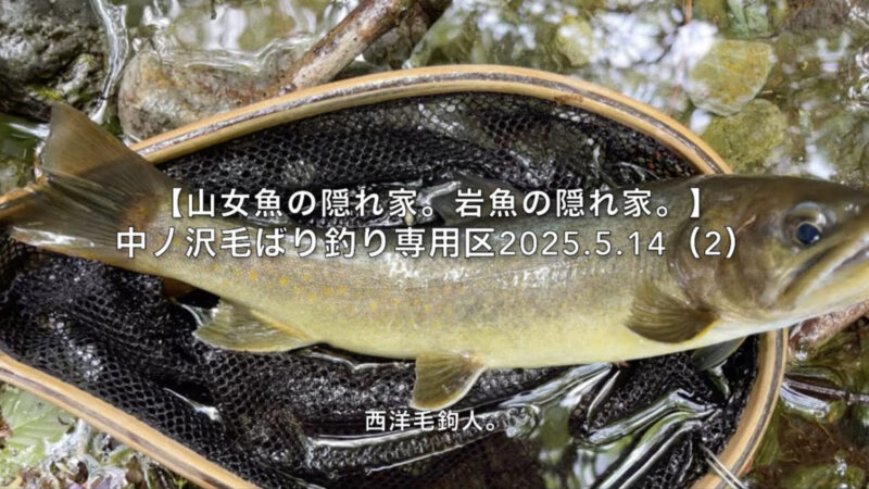 【フライフィッシング】浅いポイントからもデカイのが出る!