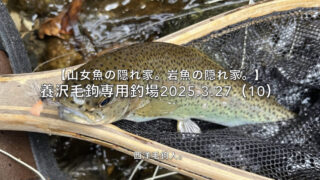 【フライフィッシング】ナチュラル系の毛鉤が飽きられたら、アピール系の毛鉤！ 