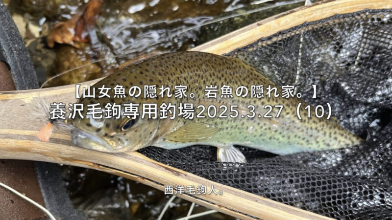 【フライフィッシング】ナチュラル系の毛鉤が飽きられたら、アピール系の毛鉤!