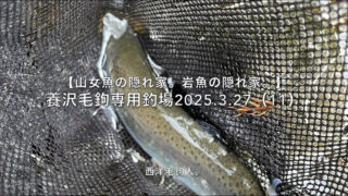 【フライフィッシング】リアクションバイト・・・なのか？ 