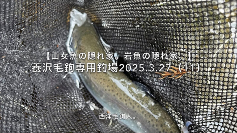 【フライフィッシング】リアクションバイト・・・なのか?