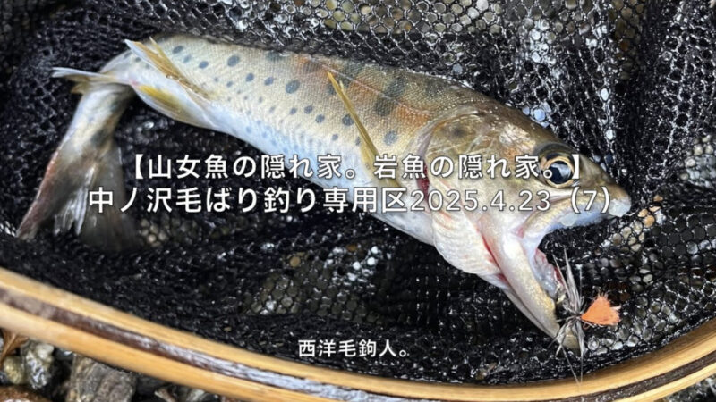 【フライフィッシング】そろそろA区間の終点だが・・・。