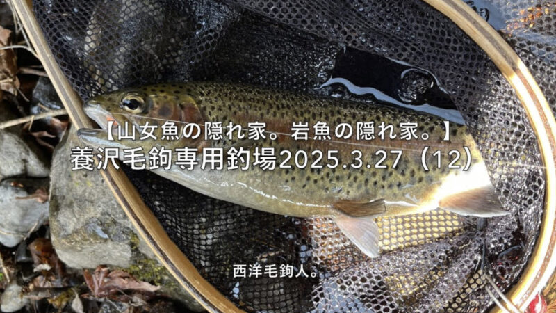 【フライフィッシング】やっぱりニジマスかぁ~~。