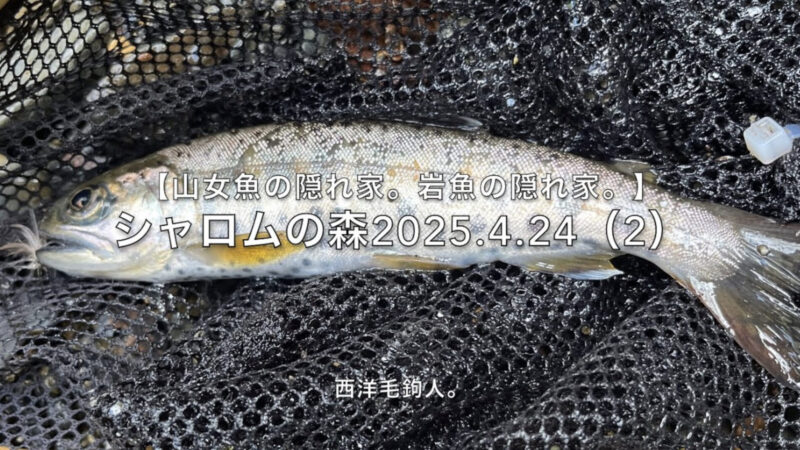 【フライフィッシング】障害物付近に毛鉤を流すのは常識だが、毛鉤を失う恐怖との戦いでもある。