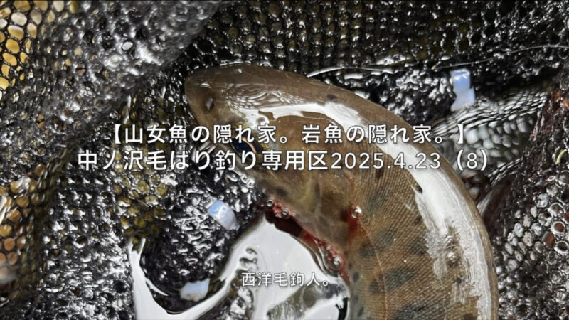 【フライフィッシング】おまけ?の支流も油断禁物!