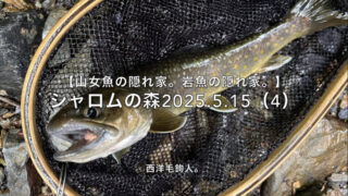 【フライフィッシング】岸壁際で岩魚・・・定番？ 