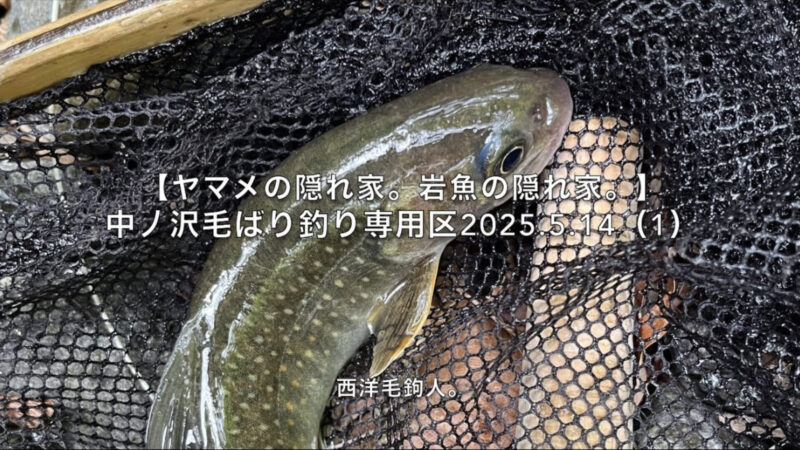 【フライフィッシング】飛んでいる羽虫より大きい毛鉤を選択する。