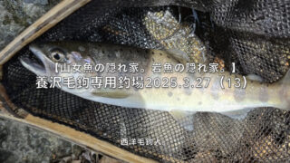 【フライフィッシング】山女魚を釣る必殺技！？ 