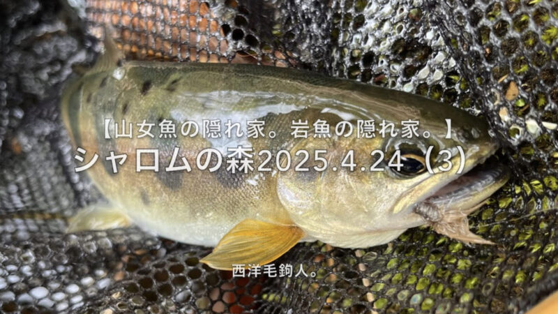 【フライフィッシング】気になるポイントは、全部攻める!