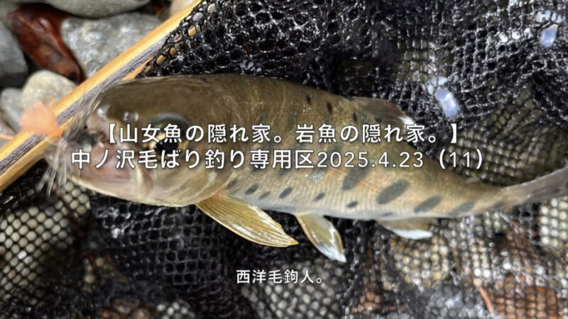 【フライフィッシング】一見簡単にみえることが、実は難しい。