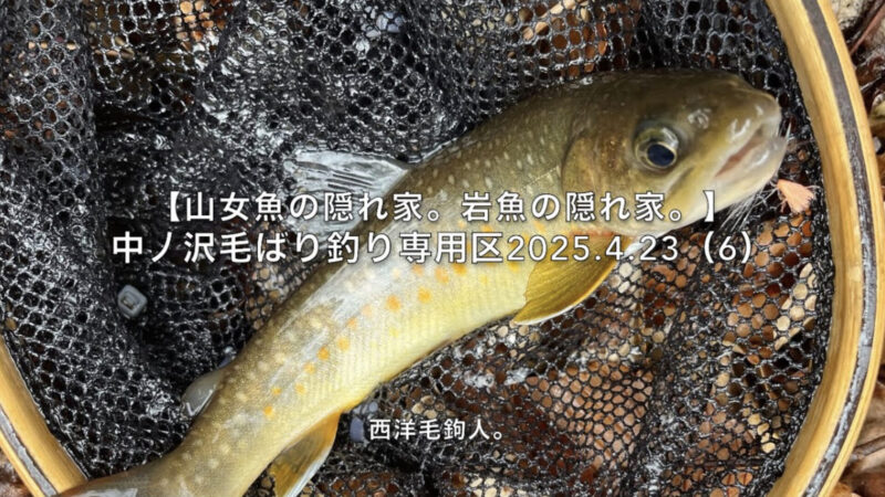 【フライフィッシング】僕が考える上級者とは?
