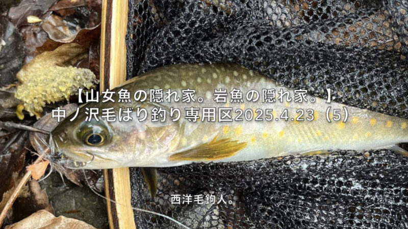 【フライフィッシング】細かいポイントを狙う!