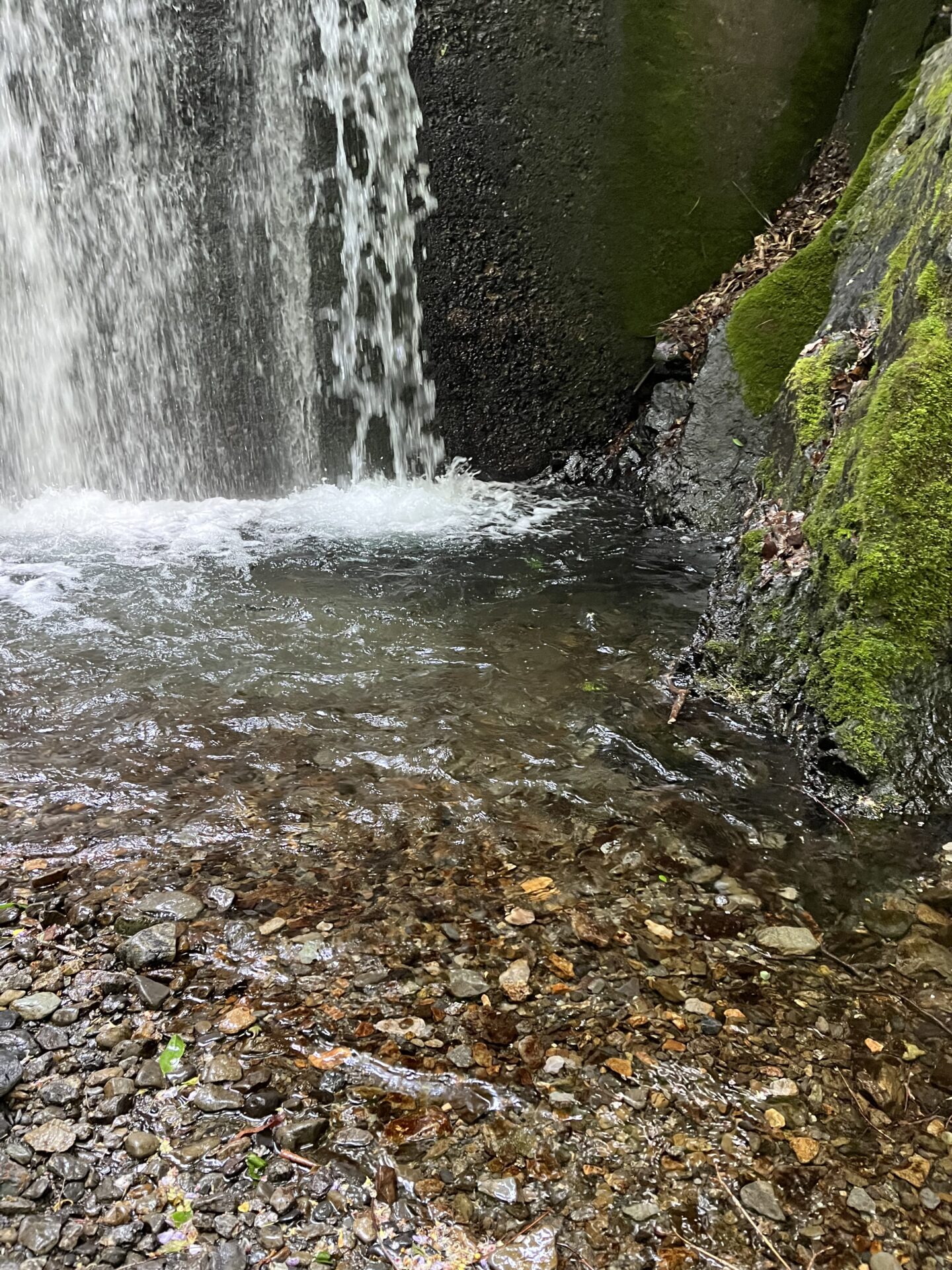 釣れたポイント
山女魚
上野村
特設釣り場
中丿沢毛ばり釣り専用区
14:17
