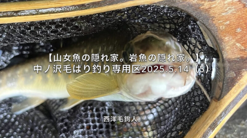【フライフィッシング】人間の目は、優秀だ!