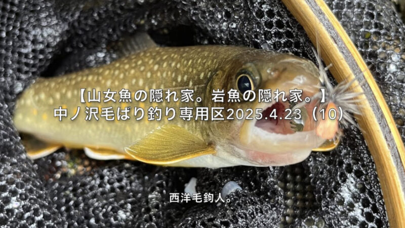 【フライフィッシング】細い流れで岩魚を狙う!