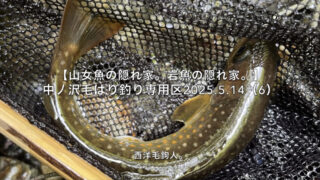 【フライフィッシング】速い流れ・・・浅ければ、岩魚でも出る！ 