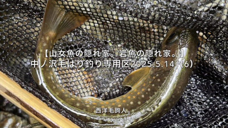 【フライフィッシング】速い流れ・・・浅ければ、岩魚でも出る!