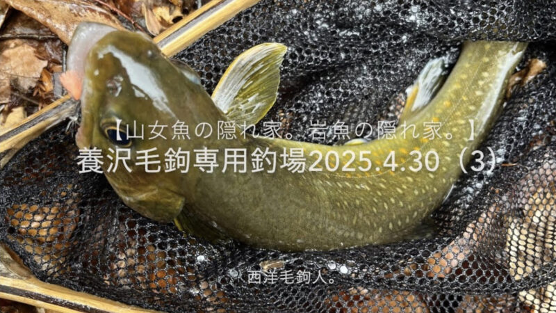 【フライフィッシング】岩魚の活性は低そう・・・。