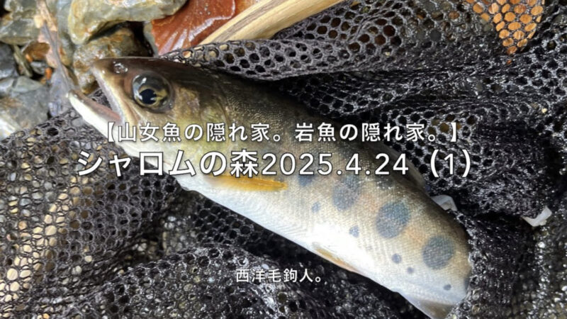【フライフィッシング】障害物が多い時は、一気に引き抜く!