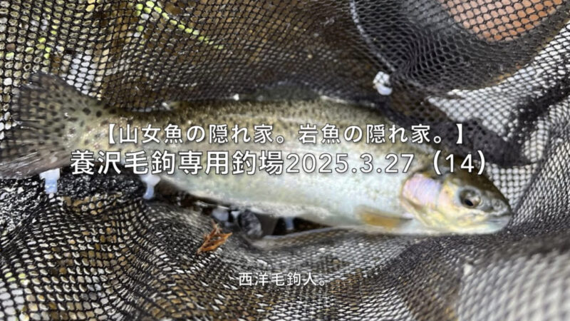 【フライフィッシング】近年ニンフを選択する人が多い気がする。