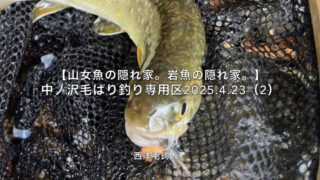 【フライフィッシング】動画あるあるって感じ？ 