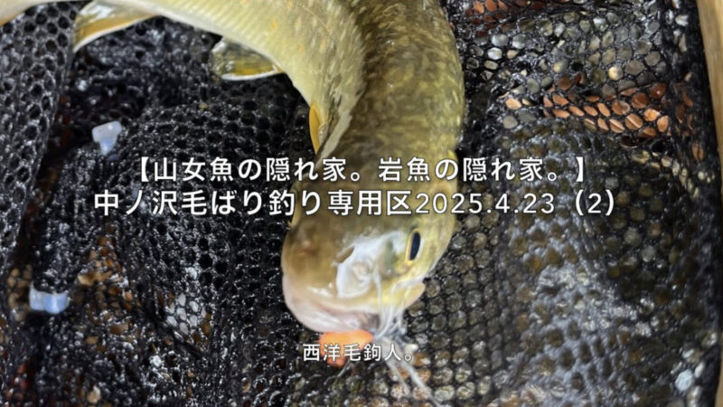【フライフィッシング】動画あるあるって感じ?