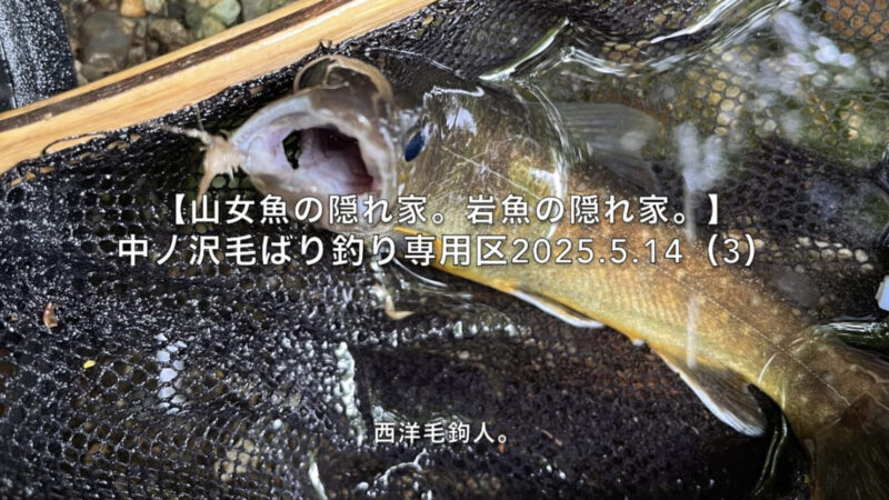 【フライフィッシング】取り残された岩魚を救出する!
