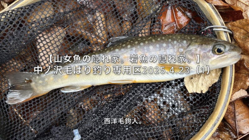 【フライフィッシング】力んで岩魚が飛んだ・・・ごめん!