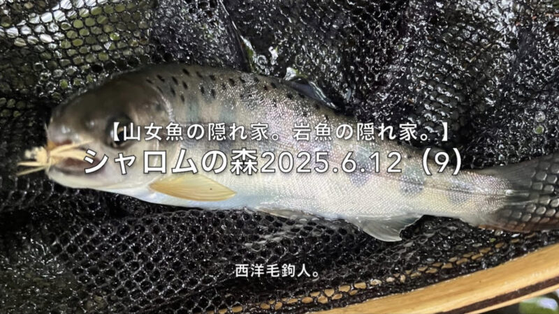 【フライフィッシング】教科書通り・・・もいいんだけど。