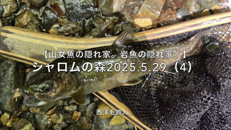 【フライフィッシング】ポイントの奥の奥にズバッと・・・っとは、いかないんだよな。