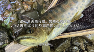 【フライフィッシング】フロータントのありがたみ。 