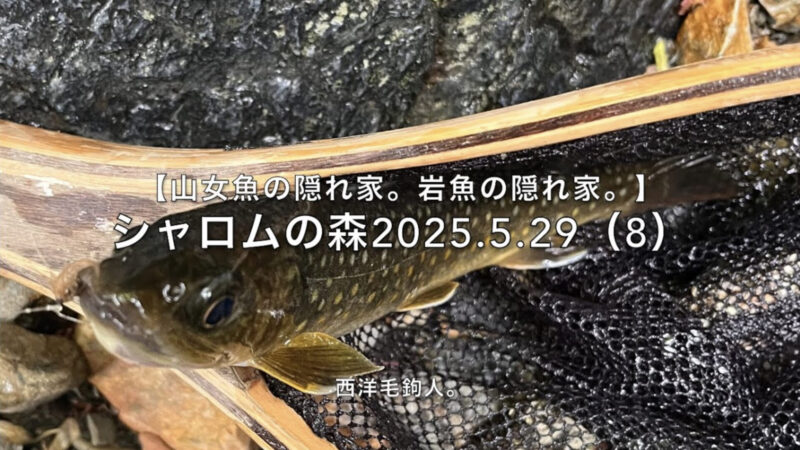 【フライフィッシング】狙いは、釣り人それぞれ・・・。